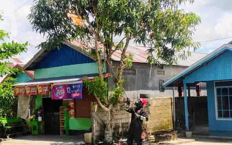 Petugas Disdamkarmat Kotim melakukan metode burning pada sarang lebah di Baamang Tengah.