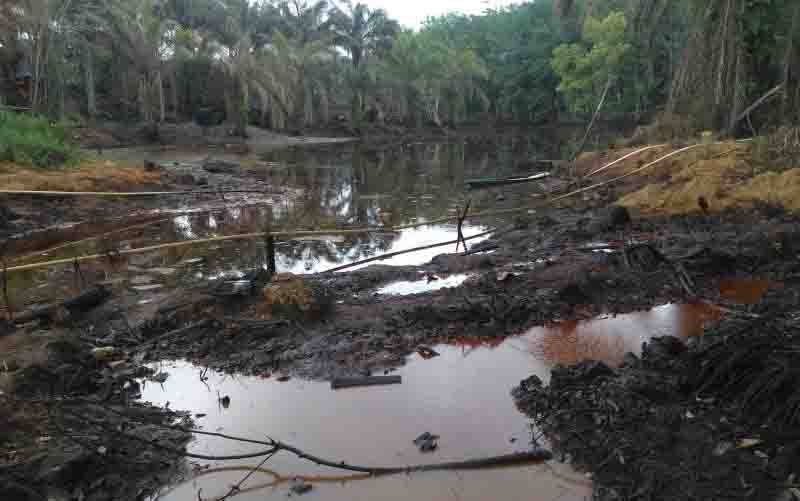 Danau di Desa Bungku, Kecamatan Bajubangm Kabupaten Batanghari tercemar akibat dari penambangan minyak ilegal. Penambangan minyak ilegal di Kecamatan Bajubang merusak lingkungan dan sumber air bersih. (foto : Antara/Muhamad Hanapi)