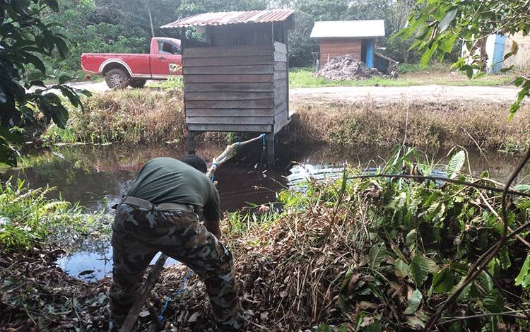 Petugas BKSDA Pos Jaga Sampit memasang alat pancing untuk menangkap buaya di Sungai Sapihan.