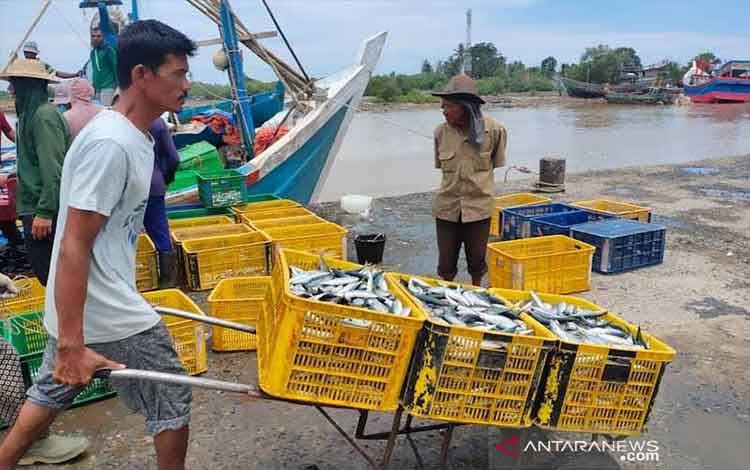 Nelayan mengangkut ikan di PPN Idi, Kabupaten Aceh Timur, Sabtu (18/9/2021). ANTARA/Hayaturrahmah