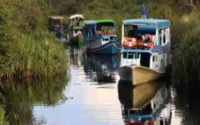  Salah satu wisata susur sungai yang ada di Tanjung Puting.