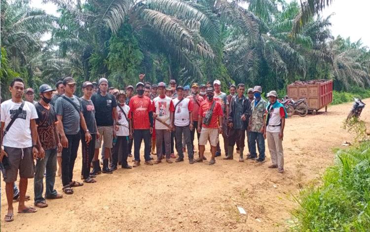 Anggota Koperasi Garuda Maju Bersama saat di areal lahan sawit yang bermitra dengan perusahaan setempat.