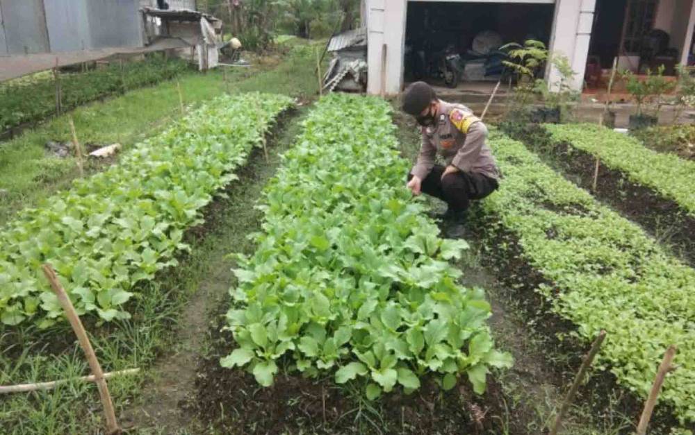 Personel Polsek Basarang saat menyambangi kebun hortikultura milik warga