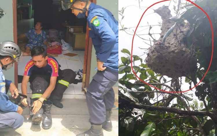 Petugas Disdamkarmat Kotim bersiap melakukan pemusnahan terhadap sarang tawon di Kota Besi Hulu