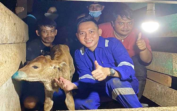 Dokter Hewan Akhmad Rizaldi dengan anak sapi hasil operasi caesar di Desa Siong