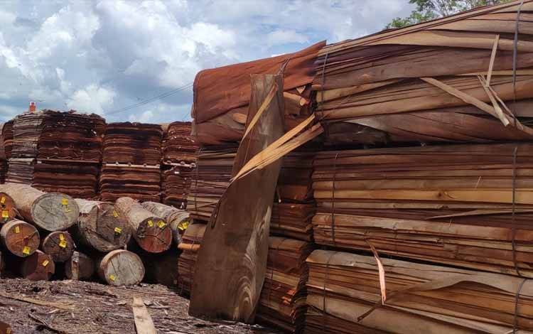 Pengolahan kayu lapis di bantaran sungai Kahayan Palangka Raya