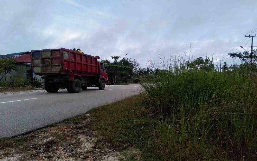 Sebuah truk melintas di Jalan Soekarno-Hatta yang tepinya banyak ditumbuhi semak belukar rumput sehingga mengganggu pandangan