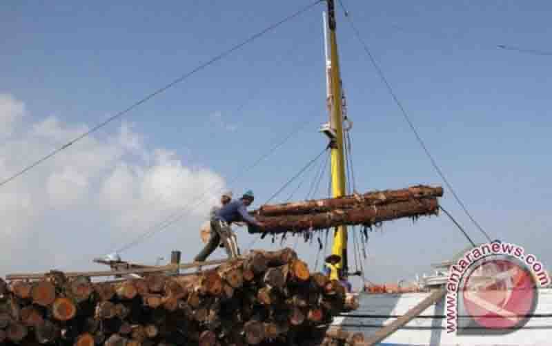 Ilustrasi - Pekerja melakukan bongkar muatan kayu gelondongan dari atas geladak kapal tradisional di Pelabuhan Mayangan, Pasuruan, Jawa Timur. (foto : ANTARA/Destyan Sujarwoko/zk/16)