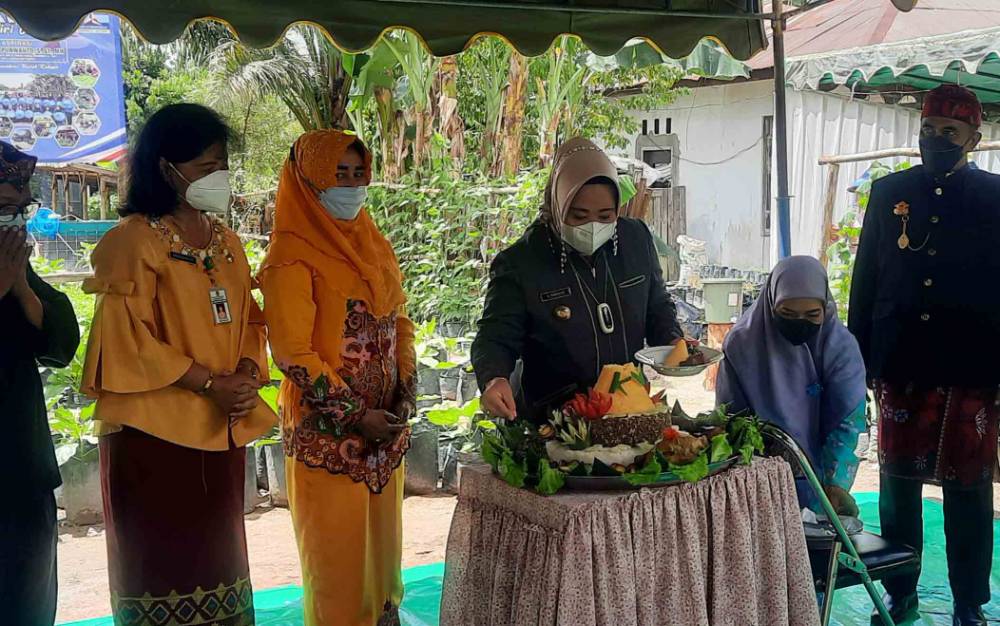 Bupati Kobar Nurhidayah, memotong tumpeng saat merayakan acara panen raya di lokasi pengembangan tanaman milik KWT Mandiri Bersatu.