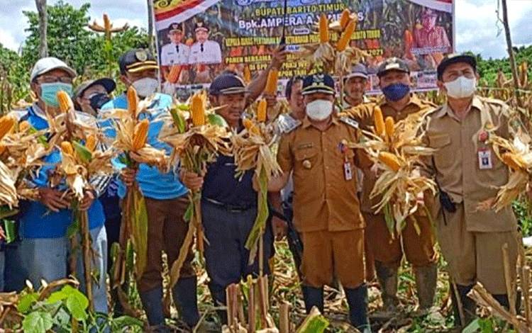 Wakil Bupati Barito Timur, Habib Said Abdul Saleh (tengah), saat menghadiri kegiatan panen jagung pakan pada Kelompok Tani Jata Harapan, Desa Kalamus.