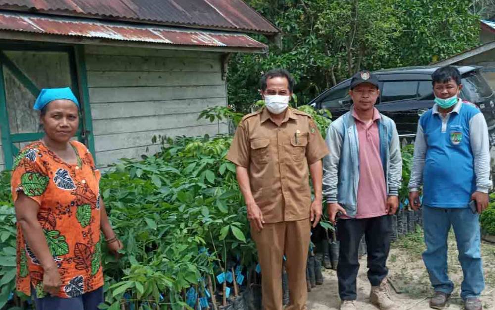 Kabid Perkebunan dan Holtikultura Dinas Pertanian dan Tanaman Pangan Barito Timur, Firta Harawan menyerahkan bantuan bibit karet kepada Kelompok Tani Pangarawah di Kecamatan Benua Lima.