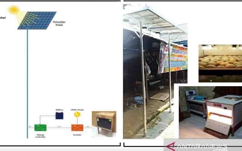 Penerapan mesin tetas sistem photovoltaic panel surya sebagai suplai daya listrik kontinu bagi peternak itik Alabio. (foto : ANTARA/Firman)