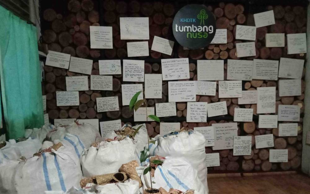 Penggunaan polybag berbahan anyaman purun di KHDTK Tumbang Nusa.