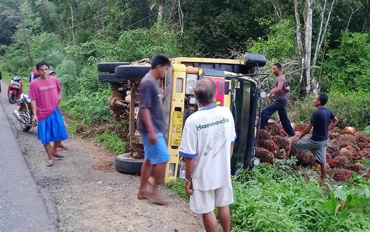 Truk pengangkut sawit dengan nomor polisi DA 2148 AE terguling di Desa Simpang Naneng.