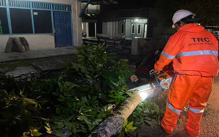 Tim BPBD Kobar sedang menyingkirkan pohon yang tumbang di Jalan Delima Kelurahan Madurejo, Selasa, 7 Desember 2021 malam