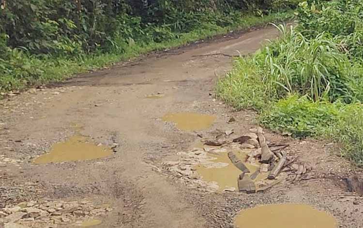 Kondisi jalan penghubung Desa Bambulung dan Desa Tuyau di Kecamatan Pematang Karau