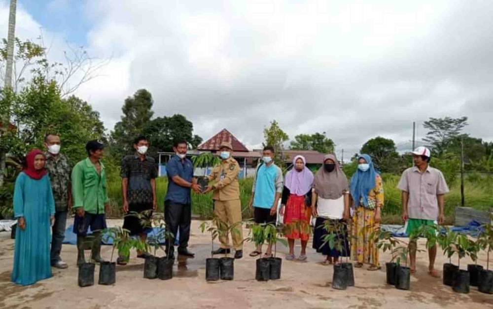 Anggota DPRD Kapuas, Thosibae Limin saat menyerahkan bantuan bibit buah durian di Kelurahan Selat Utara, Kecamatan Selat, Senin 13 Desember 2021.