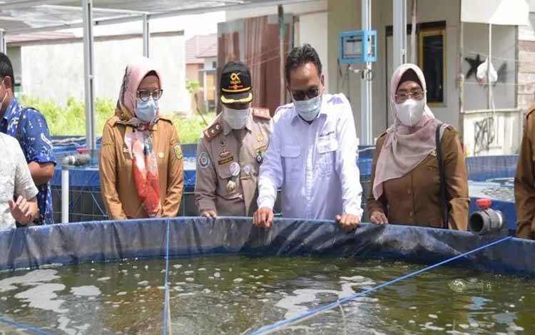 Penyerahan bantuan budidaya ikan metode bioflok dari KKP di Palangka Raya