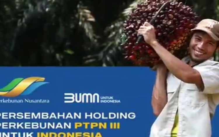 PT Perkebunan Nusantara (PTPN) VIII yang merupakan salah satu anak perusahaan BUMN Holding Perkebunan di Provinsi Jawa Barat dan Banten memperkuat eksistensi komoditas kelapa sawit melalui sertifikasi Roundtable on Sustainable Palm Oil (RSPO)