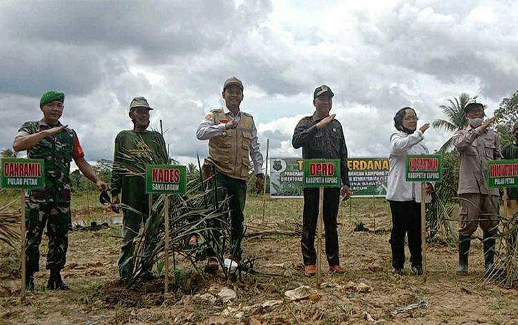 Penanaman perdana bibit pisang unggul di Desa Saka Lagun, Kecamatan Pulau Petak pada Rabu, 22 Desember 2021.