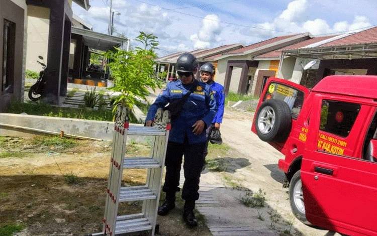 Petugas mempersiapkan diri mengamankan sarang tawon yang bersarang di rumah warga di Kecamatan Mentawa Baru Ketapang, Sampit.