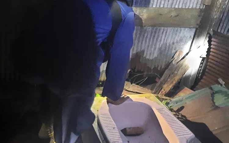 Petugas Disdamkarmat Kotim membongkar toilet warga untuk menangkap ular yang memangsa ternak warga