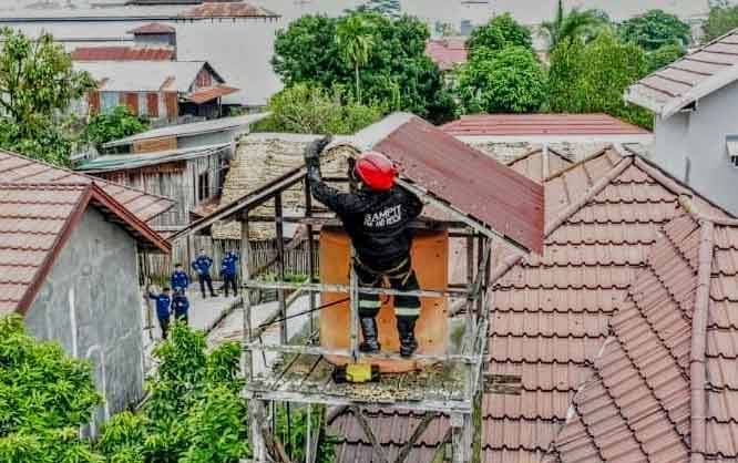 Petugas Disdamkarmat Kotim berupaya membuang sarang tawon vespa yang melekat di tower penampungan air.
