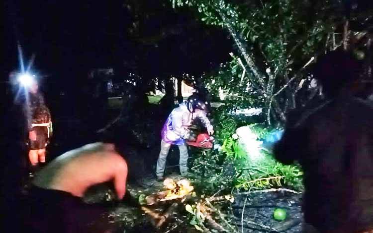 Tim Reaksi Cepat BPBD Damkar Barito Timur sedang berupaya memangkas dan menyingkirkan pohon yang tumbang