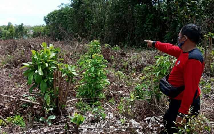 Anggota Manggala Agni Daops Kalimantan ll Kapuas saat melakukan patroli rutin daerah rawan karhutla.