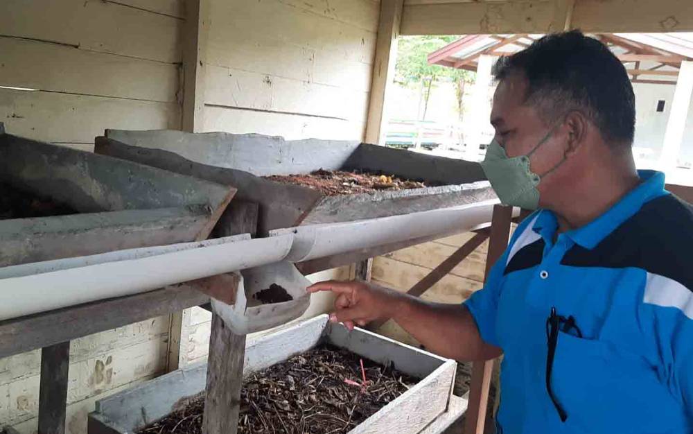 Kepala Sekolah SMAN 1 Kurun Kabupaten Gunung Mas sedang memperlihatkan tempat budi daya maggot yang ada di sekolahnya.