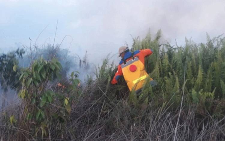 Petugas sedang memadamkan api kebakaran hutan dan lahan