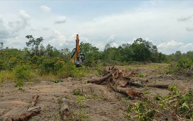 Pembersihan lahan seluas 10 hektar menggunakan excavator milik Dinas Pertanian dan Ketahanan Pangan Sukamara.