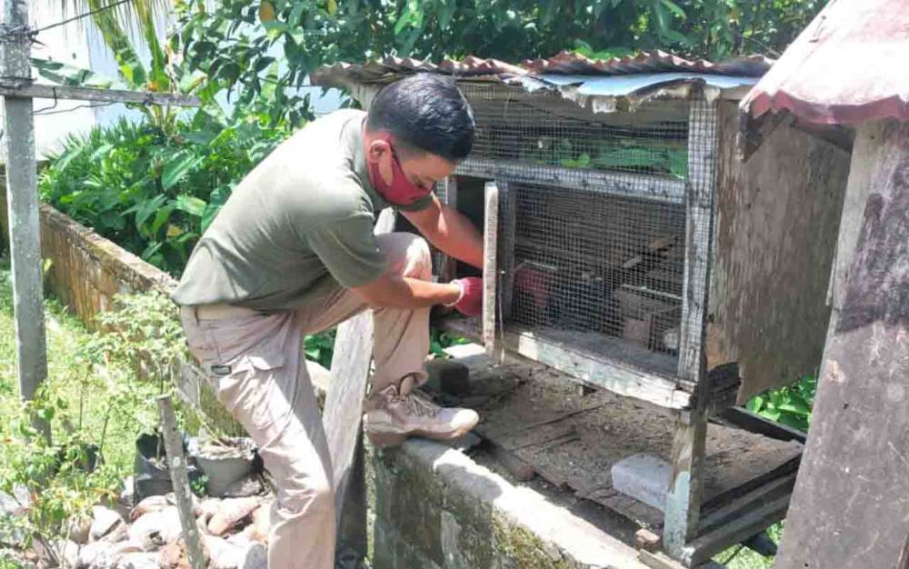 Komandan BKSDA Pos Jaga Sampit mengeluarkan burung karangkareng hitam setelah sempat diamankan warga usai ditemukan.