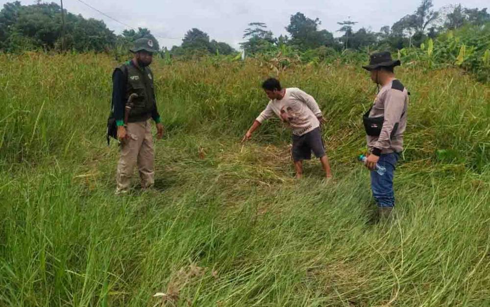 Komandan BKSDA Pos Jaga Sampit, Muriansyah bersama warga di lokasi penemuan jasad korban meninggal dunia di Dusun Teluk Tewah, Kecamatan Cempaga.
