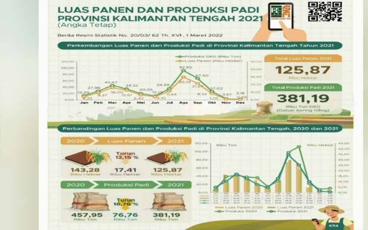 Infografis perkembangan luas panen dan produksi padi di Kalteng pada 2021. (sumber: BPS Kalteng)