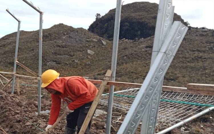 Arsip - Karyawan PT PTT sedang mengerjakan pembangunan tower (BTS) di Papua. ANTARA/HO/Humas PT PTT