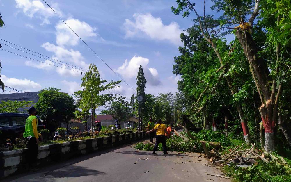Petugas menebang pohon di pinggir Jalan HM Arsyad Sampit yang rawan tumbang.