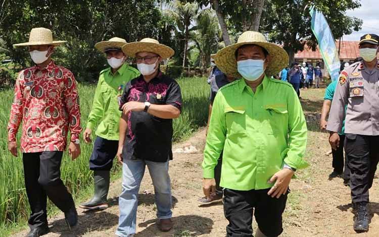 Bupati Barito Timur, Ampera AY Mebas menghadiri kegiatan penanaman perdana jagung komposit di Desa Netampin