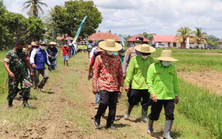 Bupati Barito Timur, Ampera AY Mebas (paling depan) saat menghadiri kegiatan tanam perdana jagung komposit di Desa Netampin