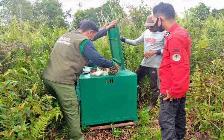Petugas BKSDA dibantu warga mempersiapkan perangkap beruang yang dipasang di Lingkar Kota Utara Sampit