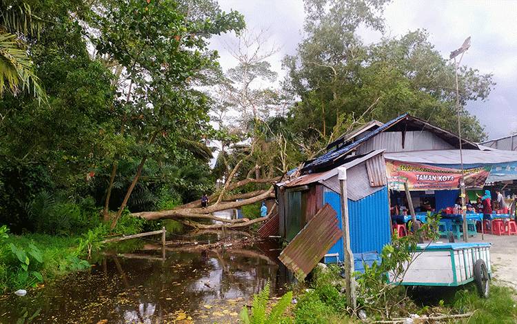 Pohon tumbang besar menimpa warung di sekitar Taman Kota Sampit, Minggu sore, 27 Maret 2022.