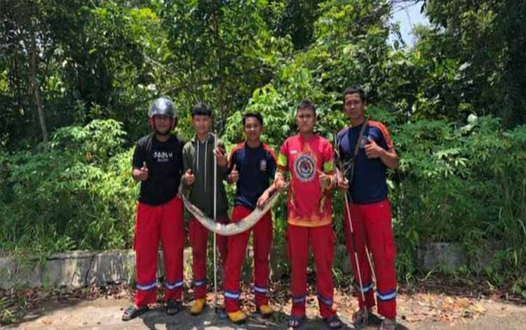 Tim Animal Rescue BPK Tirta Borneo Kapuas saat melakukan evakuasi ular di Jalan Pemuda, Komplek Perumahan Sumber Kurnia, Senin 28 Maret 2022