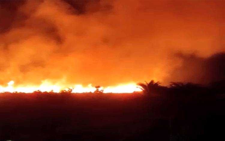 Tampak api menyala besar membakar lahan di Desa Sungai Bakau, Kecamatan Kumai.