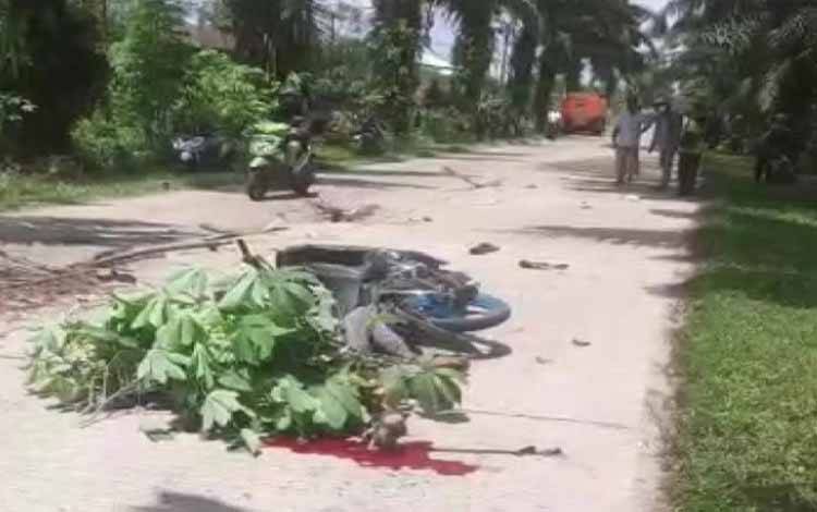 Korban tewas usai kecelakaan di Jalan HM Arsyad Km 8, Kecamatan Mentawa Baru Ketapang, Sampit saat ditutup dengan dedaunan