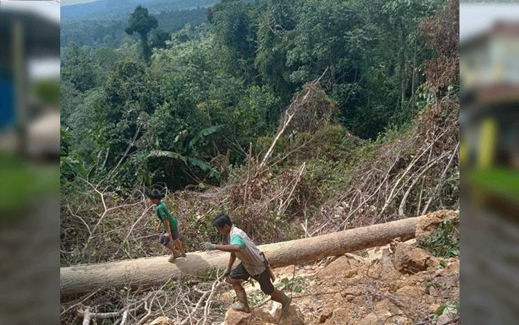 Kondisi jalan penghubung Desa Bana dan Desa Narui ke ibu kota Puruk Cahu yang terputus akibat longsor yang terjadi beberapa waktu lalu dan membuat warga terisolasi.