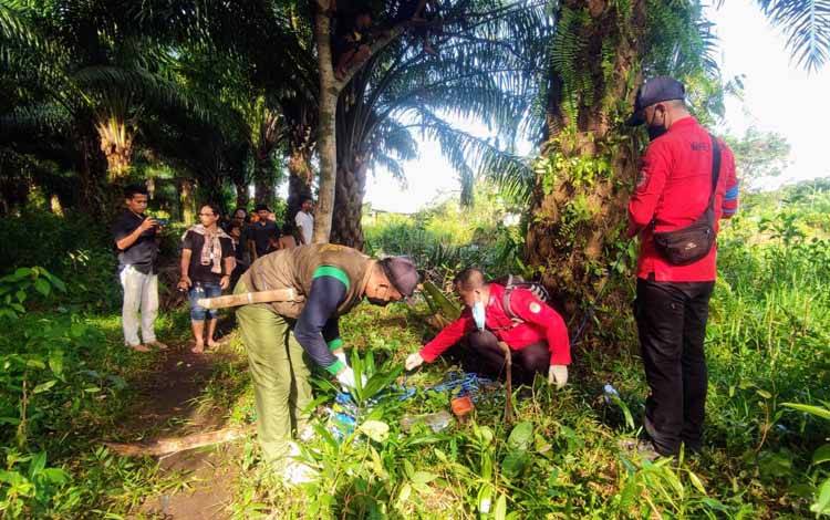 Petugas BKSDA bersama Manggala Agni memasang jebakan untuk menangkap buaya di Desa Telaga Baru, Selasa 10 Mei 2022