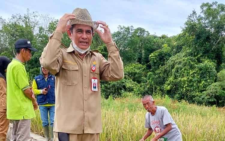Kepala Dinas Pertanian dan Ketahanan Pangan Kabupaten Barito Timur, Trikorianto saat menghadiri panen padi di Desa Ramania.