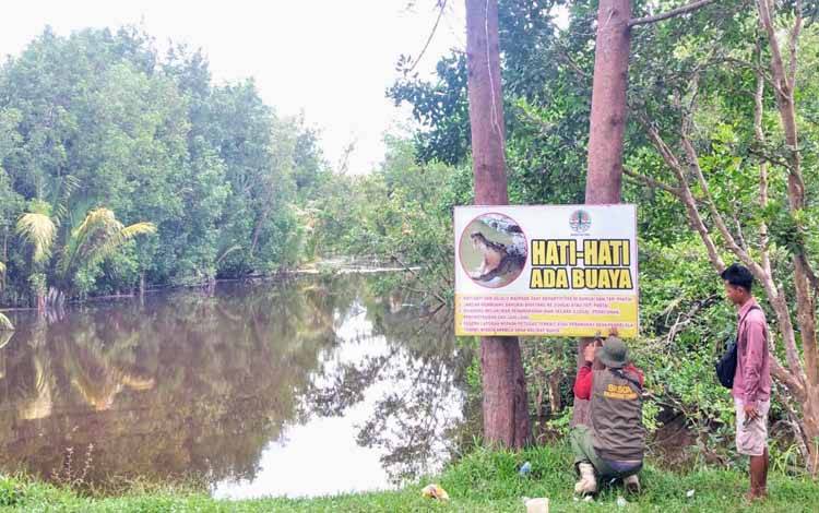 Petugas BKSDA memasang papan peringatan keberadaan buaya di muara Sungai Purun, Kecamatan Teluk Sampit