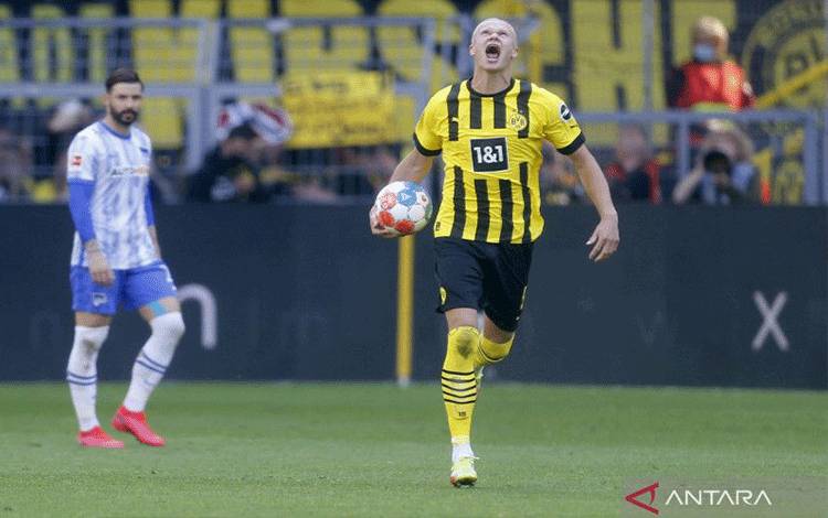 Selebrasi Erling Haaland usai mencetak gol terakhirnya untuk Borussia Dortmund dalam pertandingan Bundesliga lawan Hertha Berlin pada 14 Mei 2022. ANTARA/REUTERS/LEON KUEGELER