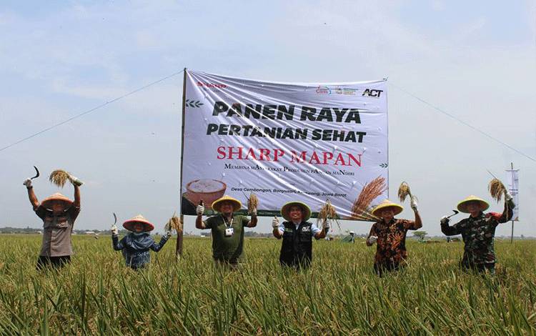 Senior GM Penjualan Nasional PT Sharp Electronics Indonesia (SEID) Andry Adi Utomo pada seremoni Panen Raya tahap dua di Desa Gembongan, Banyusari Karawang Timur, Jawa Barat. (ANTARA/HO/SEID)